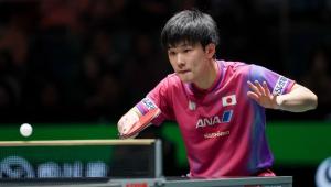 怎么看张本智和被小勒布伦零封 心理防线失守