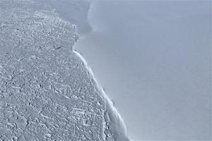 水库发现13匹冰冻马 极端天气酿悲剧