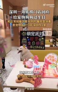 海底撈回應(yīng)給寵物狗過生日 寵物友好門店引熱議