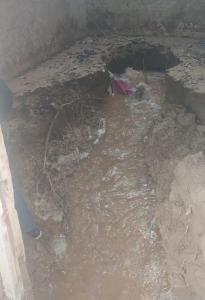 千萬人圍觀鄭州一泉水30年后復涌 村民興奮奔走相告