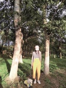 小狗西高地papi主人發(fā)聲 女子為愛(ài)犬追兇已堅(jiān)持1000多天