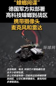 德军方研发昆虫间谍 蟑螂自带摄像头 战场新资产