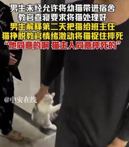 摔猫后续：教官摔死猫并称主人同意的