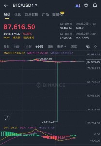 比特币在币安闪崩数秒反弹：8.76万美元瞬间跌到2.41万美元，跌幅超70%