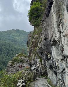 男子在大理苍山疑自缢身亡 遗体已被发现