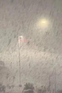 威海雪下到“冒烟”专家解读 冷流雪创纪录