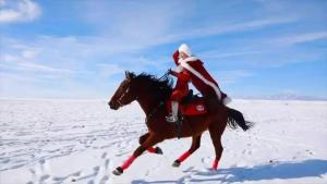 贺娇龙把流量都留给了新疆 助力乡村振兴