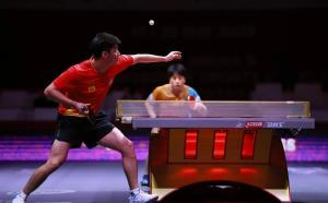 薛飞3比2淘汰张本智和 握拳怒吼庆祝 决胜局爆发逆转胜