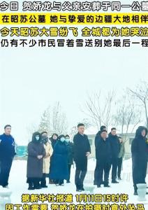 云南新品种月季征名 网友提名娇龙 以花纪念英雄