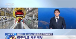 解读京沪2025经济数据 稳中有进向新向好