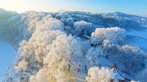 抚顺雪地“真人贪吃蛇”火了 花样玩雪引关注