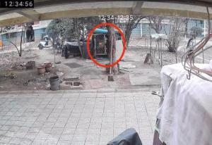 被烧死萨摩耶主人发声 痛失爱宠求公道