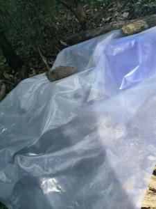  The man gets electrocuted when he encounters illegal hunting equipment in the mountain, and the tragedy causes safety warning