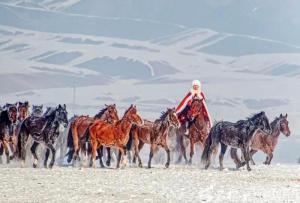 贺娇龙受伤救治细节披露：最后的电话打给拍摄团队，诊断为重度颅脑损伤，接受2次开颅手术 意外坠马牵动人心