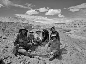 马脸为啥那么长 进化策略揭秘