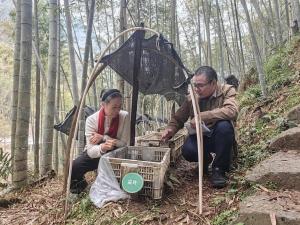 人大代表：山里的日子节节高 带动村民耕作致富