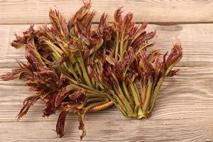 河南一村种香椿被胖东来包圆 山村产业迎来春天