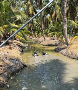 泰国遇害中国女子丈夫发声 盼查明真相