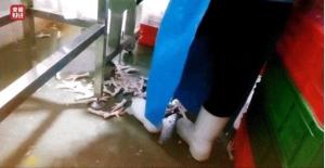 315曝光的这些“坑”很多人踩过 警惕身边的健康陷阱