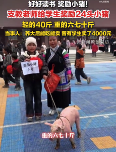 给学生奖24头小猪支教老师发声：养大后能吃能卖，曾有学生卖了4000元