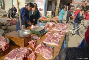 猪价暴跌卖一头亏一头 养猪成“割肉”