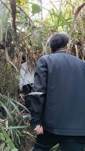 清明节上山祭祖的人排起长队 家族传统不缺席