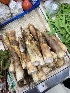 男子连续3天空腹吃笋胃黏膜被磨烂 空腹食笋伤胃警示