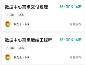 DeepSeek招人去内蒙草原“守机房” 高薪岗位引关注