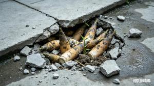 被竹笋破土的力量震撼了 生命力的奇迹