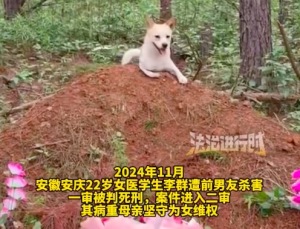 22岁被杀女孩生前爱狗离世后狗上门 父亲：生前特别喜欢小狗