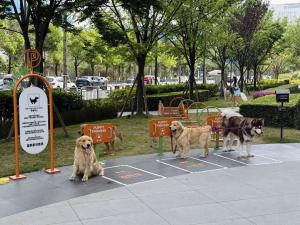 商场负责人回应泊狗位走红 宠物友好设施受追捧