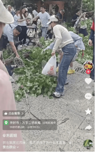 开封景区内一棵树断裂砸倒多名游客 安全质疑持续发酵