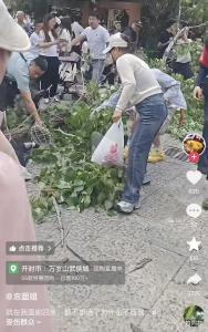 万岁山树干断落砸伤3名游客 景区安全隐患引关注