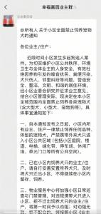 南宁一小区业委会要求全面禁犬 因遛狗未牵绳引发争议