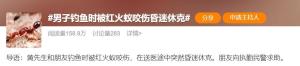 遇到这种小土包千万别踩 曾有人丧命 红火蚁巢穴危险重重