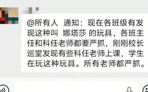 “娜塔莎”娃娃爆火 被批暴力擦边 学生爱不释手引发争议