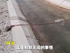 新疆一水渠遍布救命绳 网友：这份平常我们可能看不见的贴心设计，却藏着最深的守护