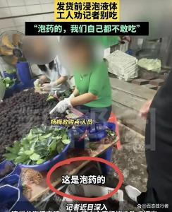 果农称药水杨梅事件致收购量大降 市场信心受挫