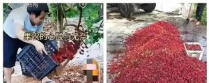这个应季水果“杀伤力”有点强！