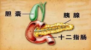 女子饿6天吃1天突然腹痛送医 极端节食惹祸