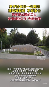 男子在公园遭马蜂蜇伤身亡 园林工人不幸遇难