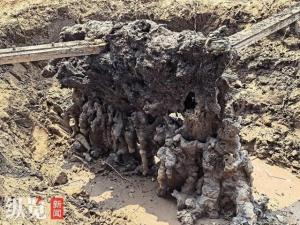 麦田现超大怪石 专家称是闪电熔岩 罕见自然现象引发关注