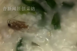 曼玲粥门店称日常卫生检查均合规 无法界定外卖蟑螂来源