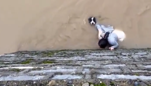 女生在自己最危险的时刻都没有放弃狗狗！