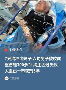 长春老人徒步遭7只烈性犬围咬 不文明养狗酿悲剧