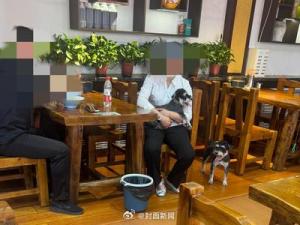 山西一面馆因劝阻带宠物进店遭连续差评 店主回应与措施