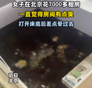 女子在北京花7000租房，床底怎会有大片霉菌？