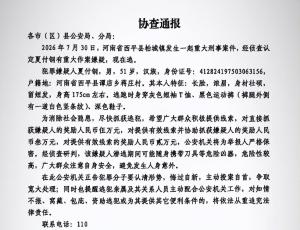 河南重大刑事案嫌疑人落网 警方不懈努力终见成果