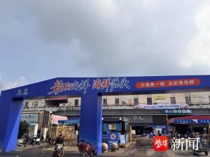 受台风影响浙江梭子蟹捕捞推迟 好蟹不怕晚