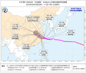 白海豚10级风圈 浙江多地受影响严重